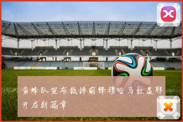 黄蜂队宣布裁掉前锋穆哈马杜盖耶开启新篇章